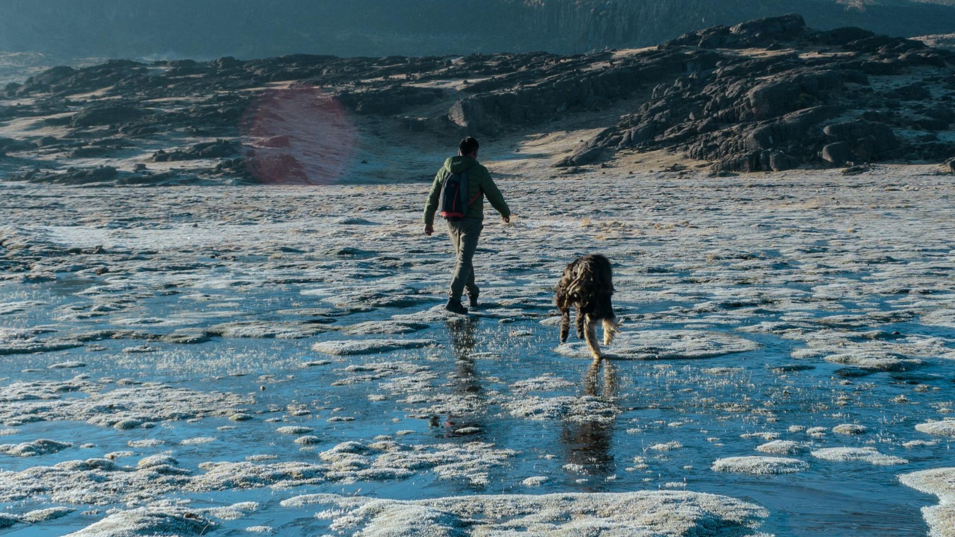 Guide: Ta med hunden på vandring